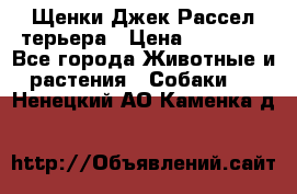 Щенки Джек Рассел терьера › Цена ­ 20 000 - Все города Животные и растения » Собаки   . Ненецкий АО,Каменка д.